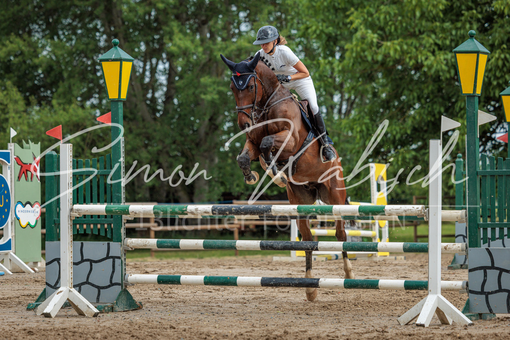 20260530-_3LI2914 | Tierfotografie Pferde, Hunde, Katzen, Haustiere.
Turnierfotografie Reitturniere, Reiten, Springreiten, Dressur in Hanau, dem Main-Kinzig-Kreis und dem Rhein-Main- Gebiet um Frankfurt