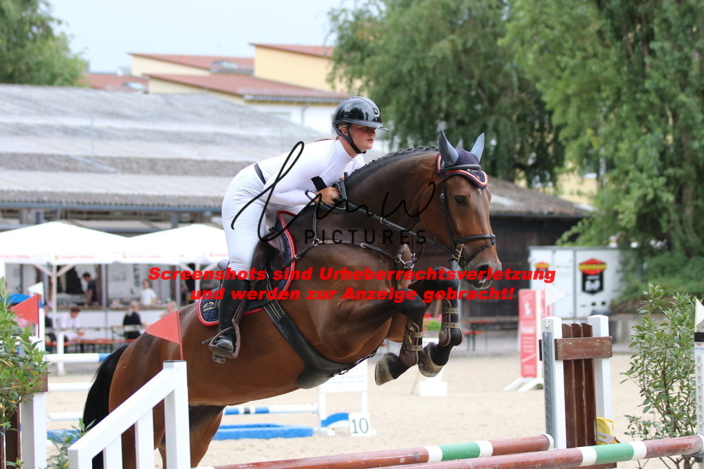 IMG_7830 | lmwpictures - Realisiert mit Pictrs.com