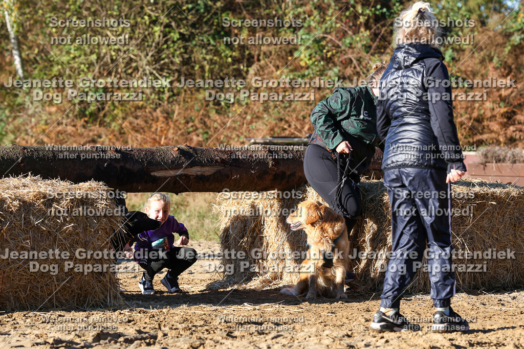 Dog Paparazzi - Strongdog 10-25-1544 | Dog Paparazzi Jeanette Grottendiek Fotografie & Videografie - Realisiert mit Pictrs.com