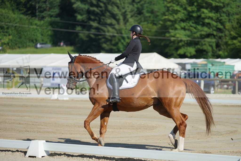 DSC03921 | equestrian-live-com