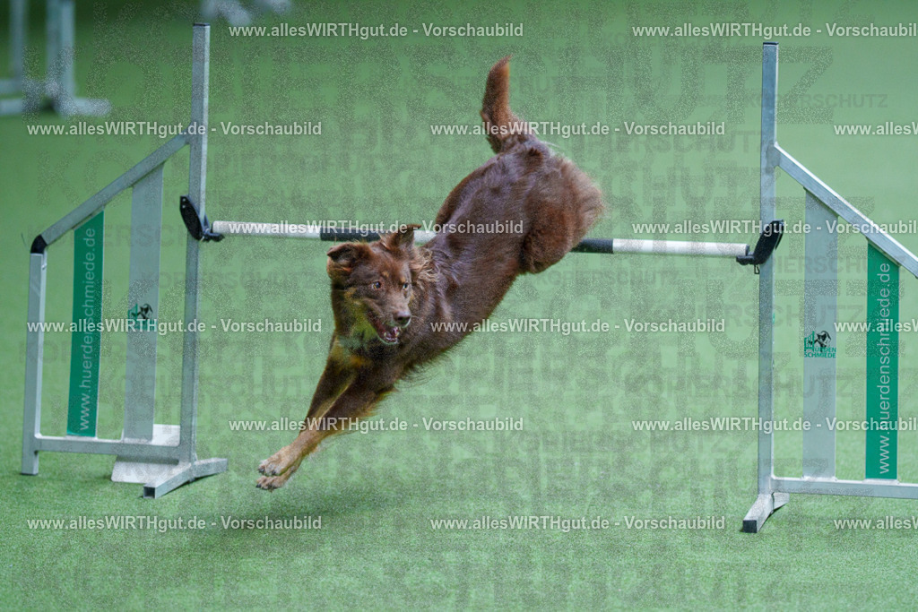 @allesWIRTHgut_Tierfotografie - www.allesWIRTHgut.de - 2604261246-7R501662 | Professionelle Tierfotografie in Mönchengladbach von Daniel Wirth (allesWIRTHgut). Liebevolle & natürliche Bilder von Hunden & Katzen für unvergessliche Erinnerungen.