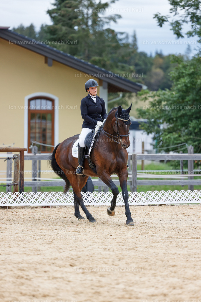 04_2-206-Dressur M__ -StoibPH-2924 | working equitationturnier fotograf videograf stoibphotography marixx film working equitation deutschland reitsport turnierfotografie eventfotografie equestrian events