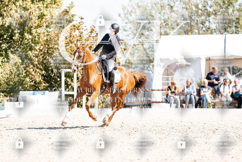 CK903333 | Turnierfotografie Pferdefotografie Trier Rheinland-Pfalz Pferdesport Reitsport Tierfotografie Sportfotografie Pferdevideo Pferdevideografie Equestrianvideography equestrianphotography  - Realisiert mit Pictrs.com