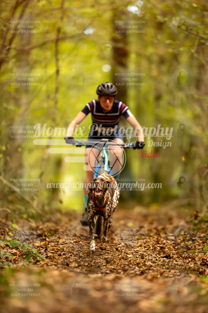 TSB_2023_E1_Bike-20 | PayLife