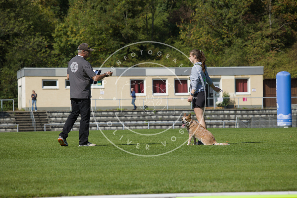 0L8A2465 | Hundefotografie, Tierfotograf, Pfotenfotografie, Fotoshooting Hund, Hunde Portrait, Hundesport, Hundeportraits, Heideshooting, Hunde, Sportfotograf, Hundefotograf, Turnierhundsport, THS,  - Realisiert mit Pictrs.com