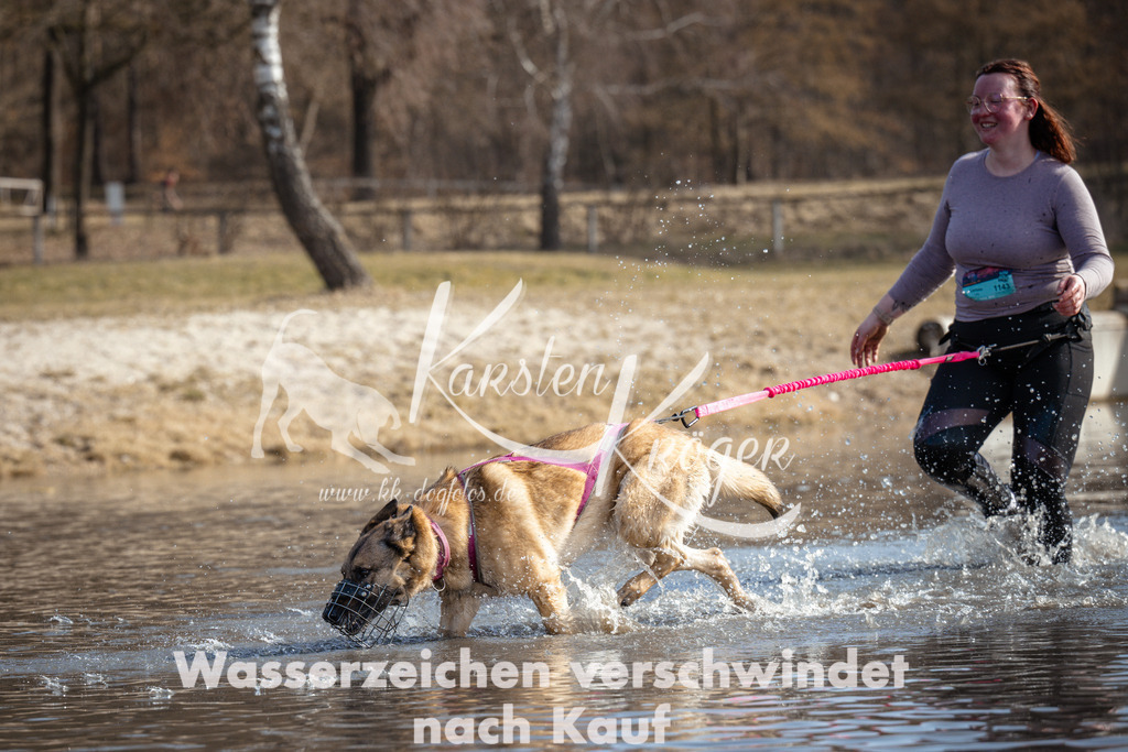 1155_ZZ97365 | kk-dogfotos