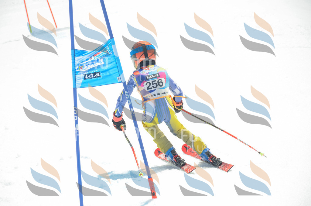 _ELE7623 | holidayphoto