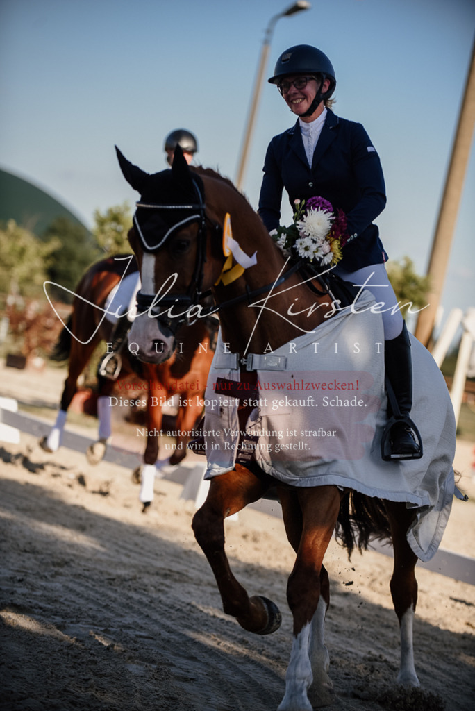 DSC_0743 | Pferde- und Turnierfotografie in Westsachsen. Pferdeportraits, Auftragszeichnungen und intuitive Kunst.