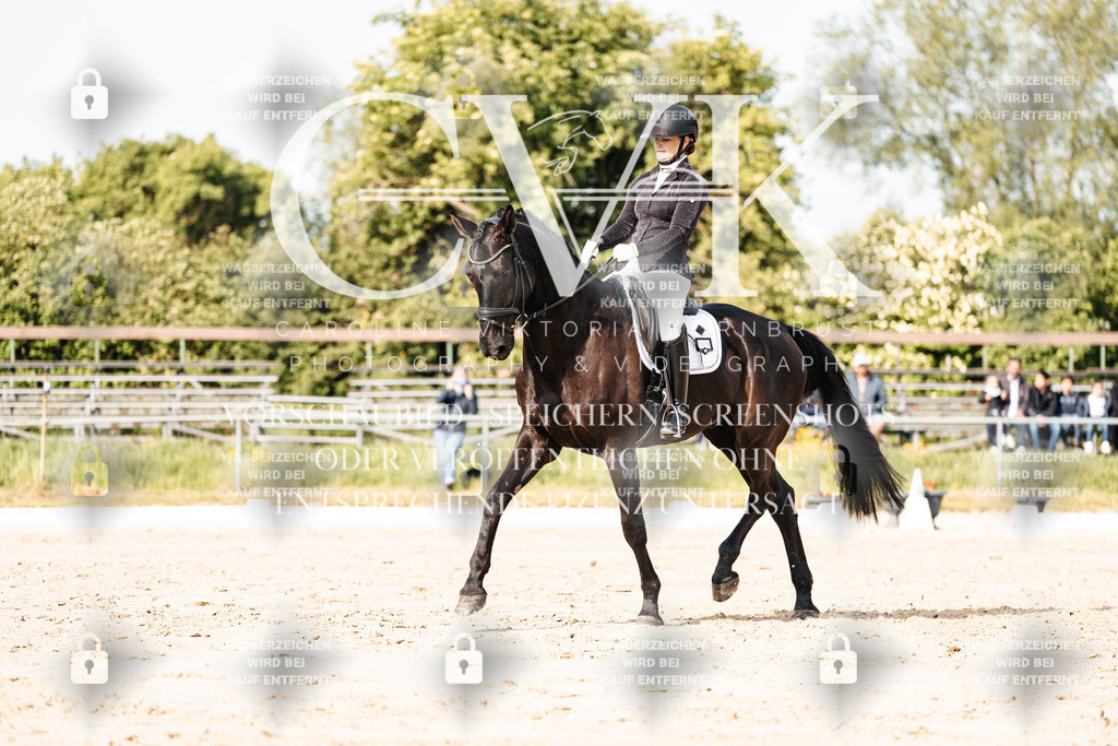 CK900208 | Turnierfotografie Pferdefotografie Trier Rheinland-Pfalz Pferdesport Reitsport Tierfotografie Sportfotografie Pferdevideo Pferdevideografie Equestrianvideography equestrianphotography  - Realisiert mit Pictrs.com