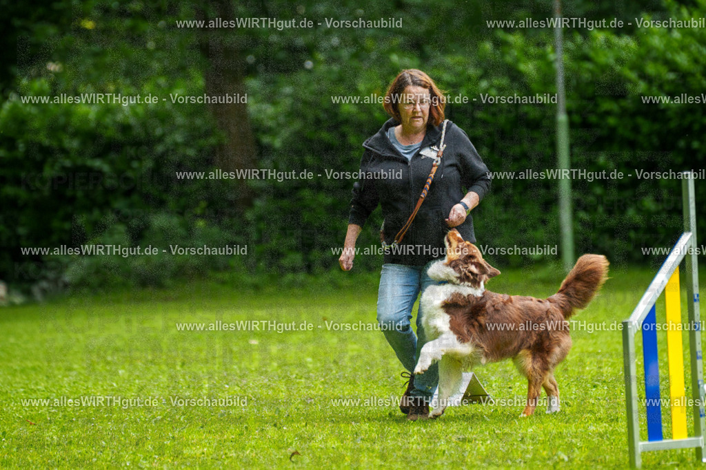 @allesWIRTHgut_Tierfotografie - www.allesWIRTHgut.de - 7R502564 | Professionelle Tierfotografie in Mönchengladbach von Daniel Wirth (allesWIRTHgut). Liebevolle & natürliche Bilder von Hunden & Katzen für unvergessliche Erinnerungen.