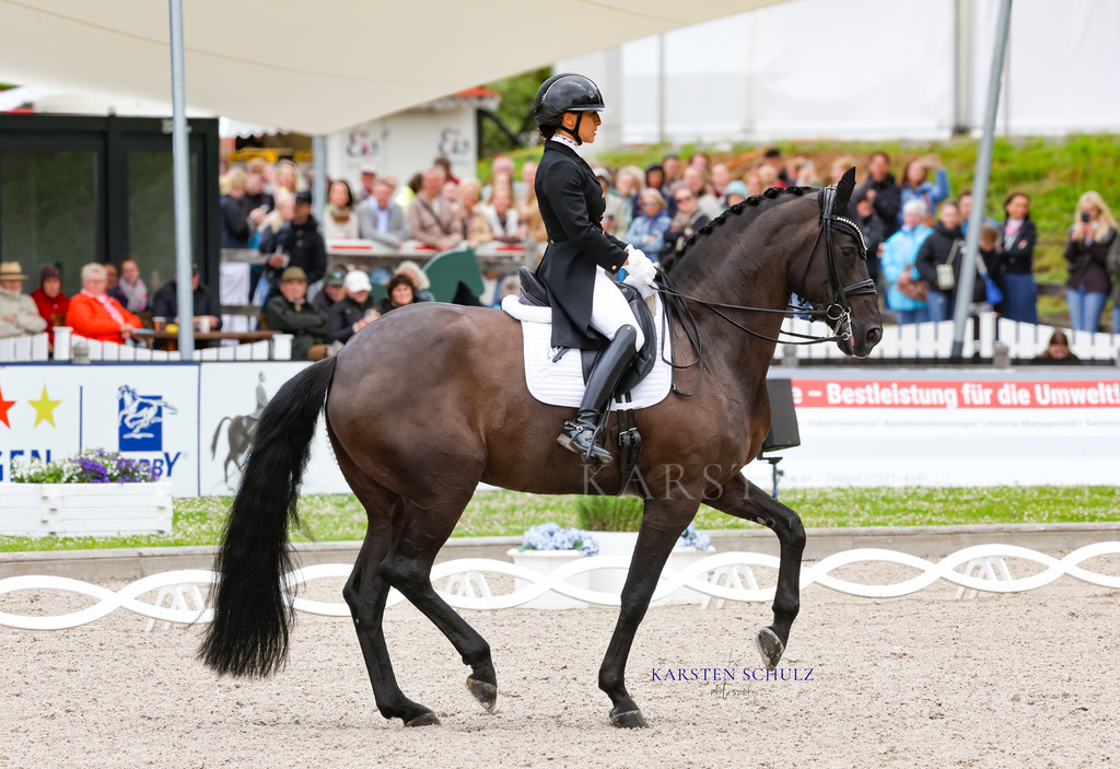 IMG_0110 | Reitsport Reiten