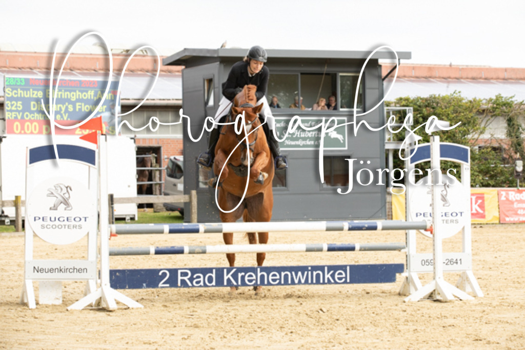 IMG_6602 | photographesa-joergens - Realisiert mit Pictrs.com