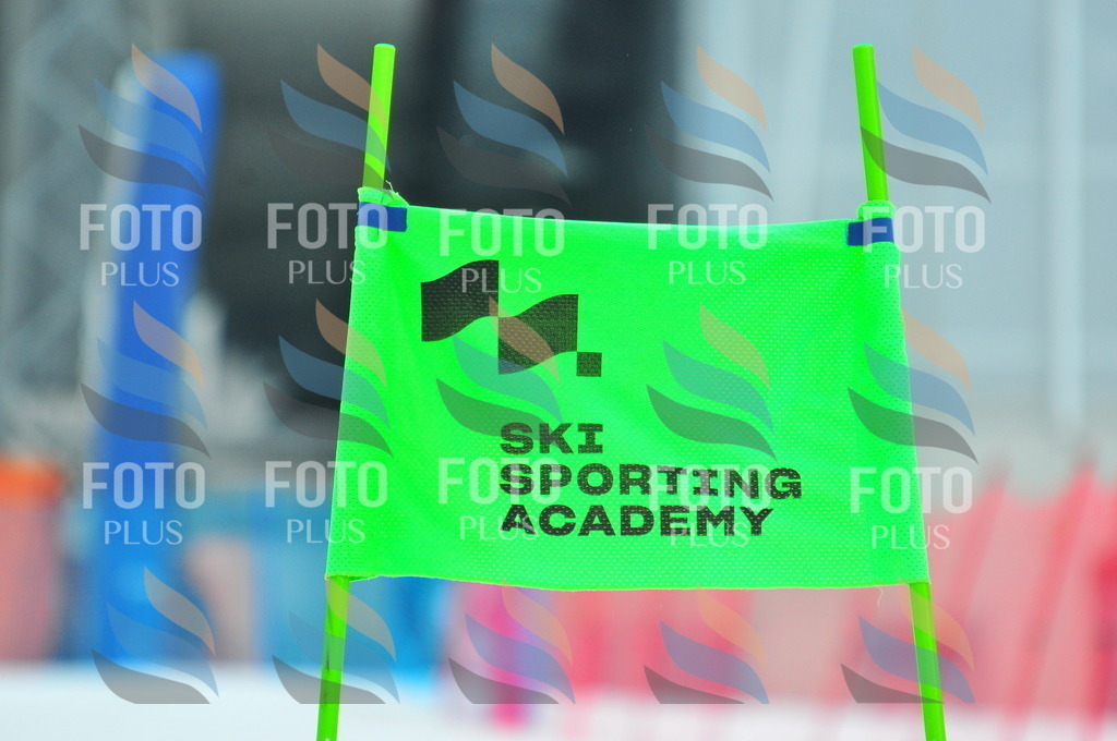 C0516 | holidayphoto