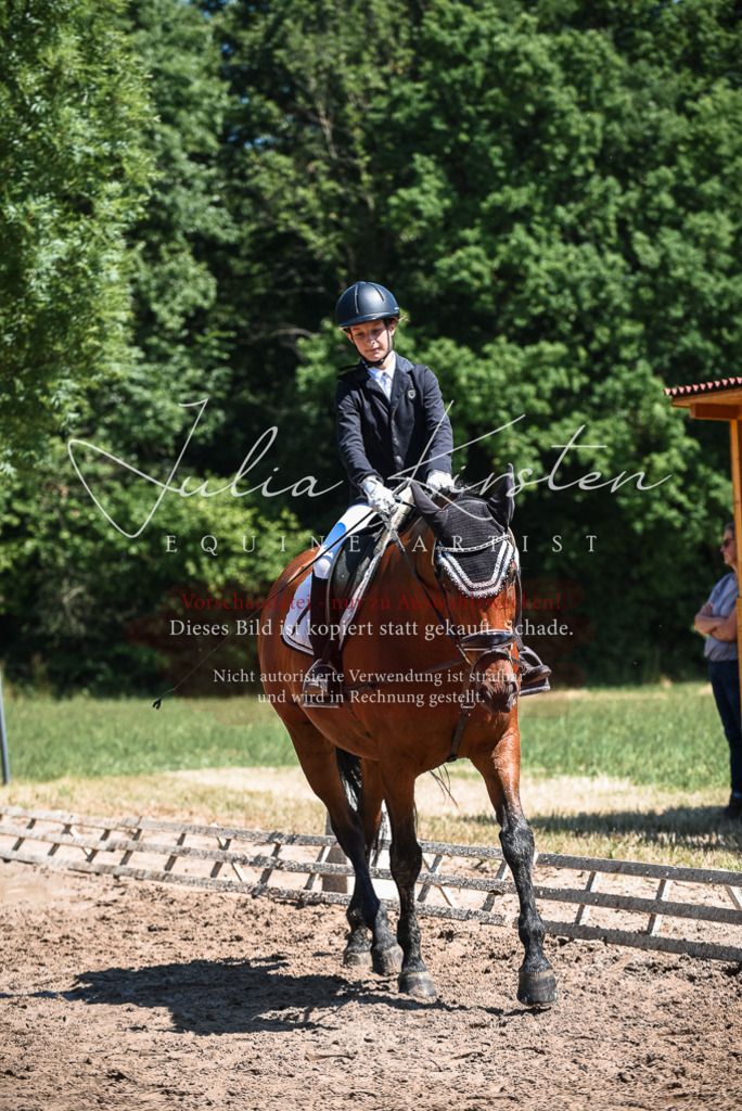 DSC_2952 | Pferde- und Turnierfotografie in Westsachsen. Pferdeportraits, Auftragszeichnungen und intuitive Kunst.