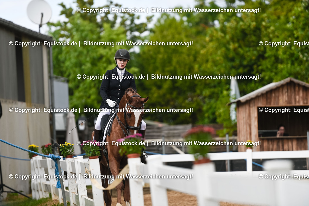 20230716_01_Dressurprüfung Kl.M_0538 | equistock