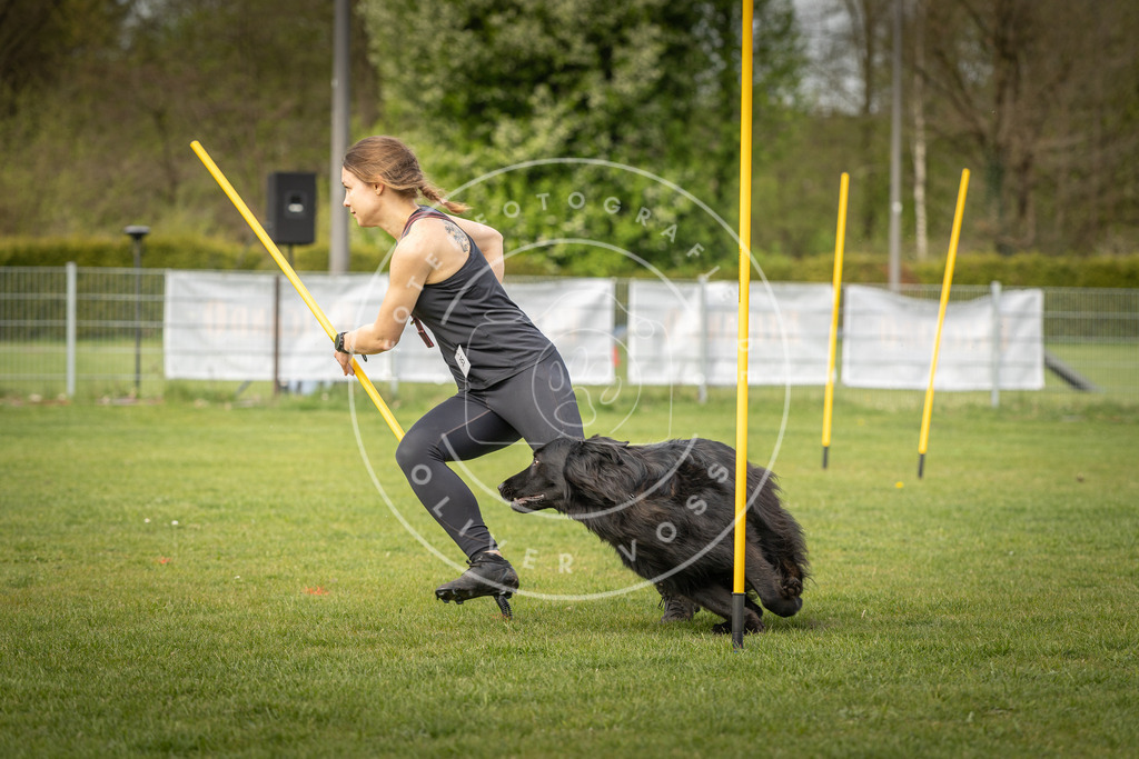 Pfotenfotografie_DV3A5077 | Hundefotografie, Tierfotograf, Pfotenfotografie, Fotoshooting Hund, Hunde Portrait, Hundesport, Hundeportraits, Heideshooting, Hunde, Sportfotograf, Hundefotograf, Turnierhundsport, THS,  - Realisiert mit Pictrs.com