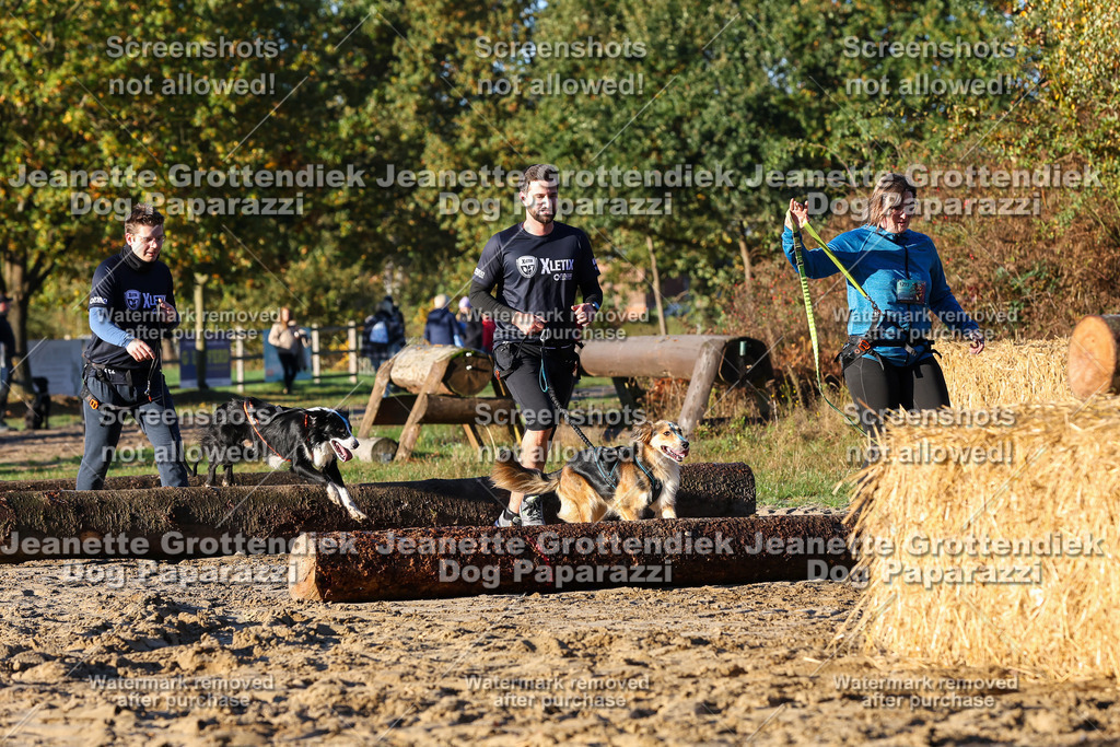 Dog Paparazzi - Strongdog 10-25-944 | Dog Paparazzi Jeanette Grottendiek Fotografie & Videografie - Realisiert mit Pictrs.com