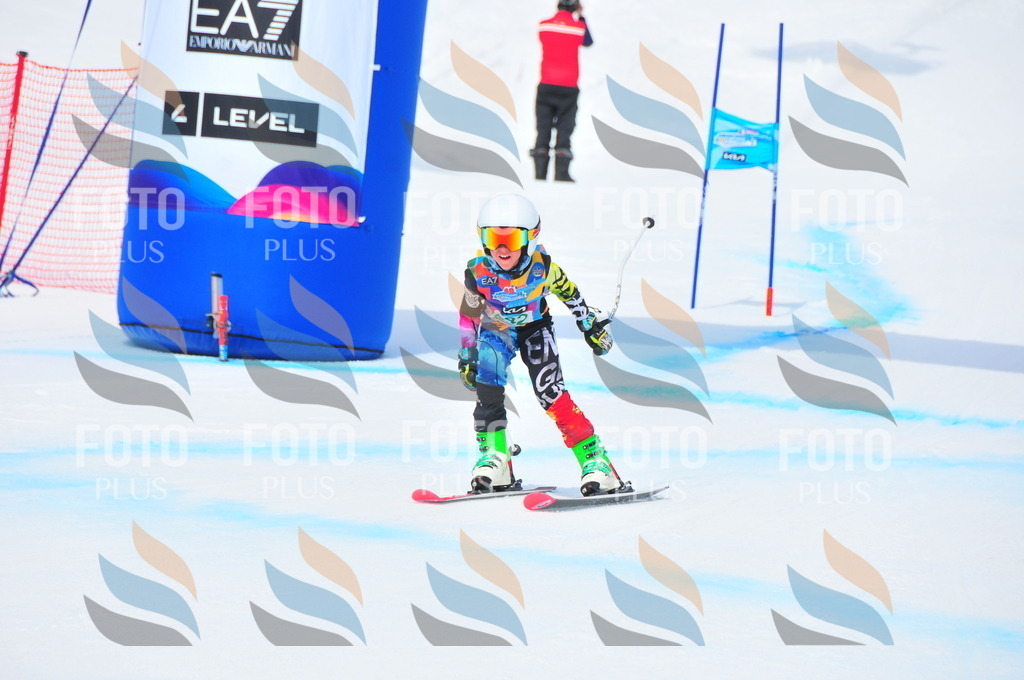 DSC_2239 | holidayphoto