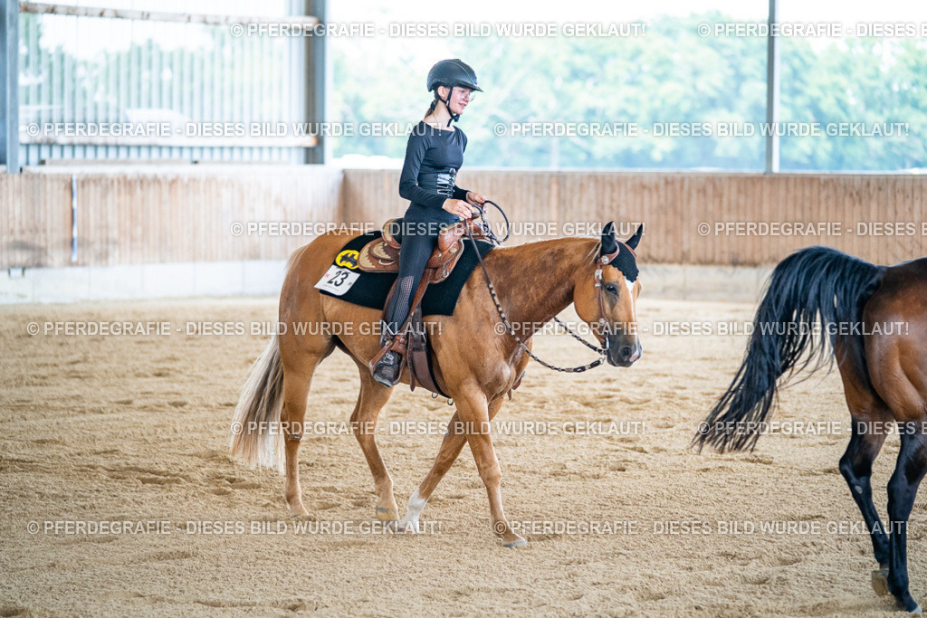 DSC04808 | Pferdegrafie