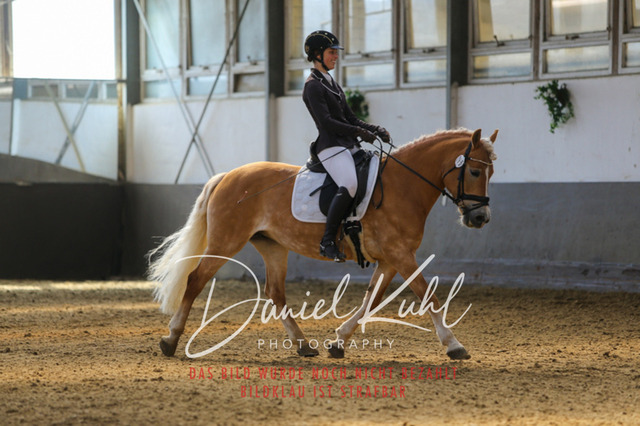 IMG_2669 | Turniersportfotografie; Pferdefotografie; Dressurfotografie