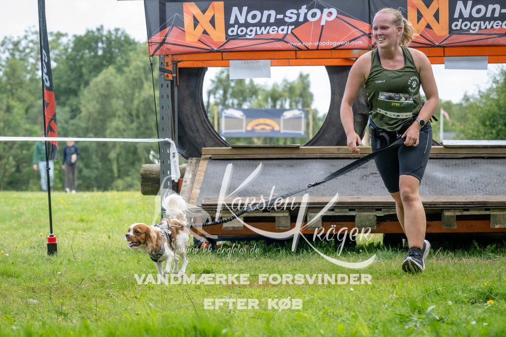 1155_ZZ93279-Bearbeitet | kk-dogfotos