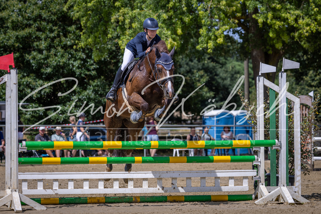 20260704-_3LI0113 | Tierfotografie Pferde, Hunde, Katzen, Haustiere.
Turnierfotografie Reitturniere, Reiten, Springreiten, Dressur in Hanau, dem Main-Kinzig-Kreis und dem Rhein-Main- Gebiet um Frankfurt