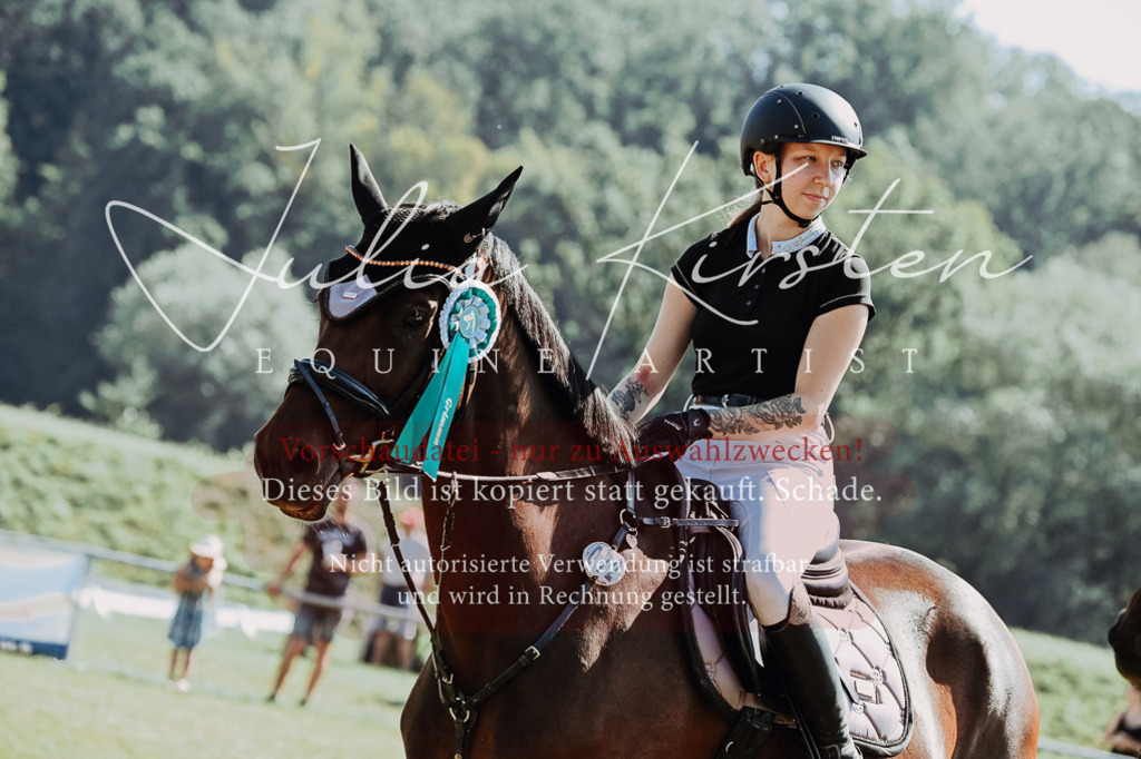 DSC_6216 | Pferde- und Turnierfotografie in Westsachsen. Pferdeportraits, Auftragszeichnungen und intuitive Kunst.