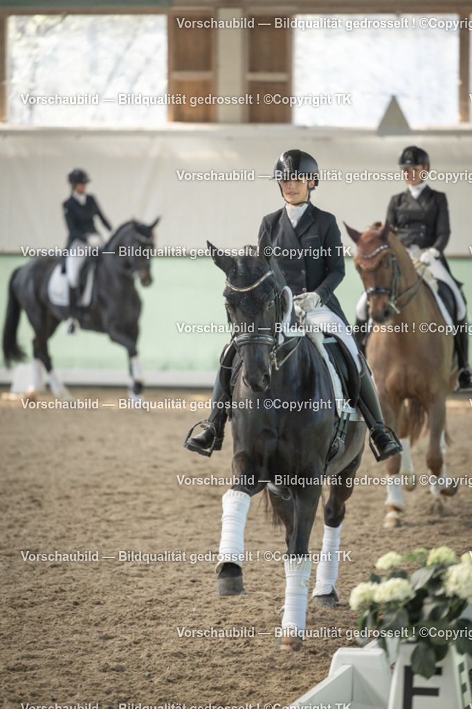_D5A2538 | Emotionale Pferde- & People-Fotografie rund um Heidelberg, Leimen & Umgebung. Natürliche Fotos von Pferd, Mensch & Familie. Jetzt Termin sichern!