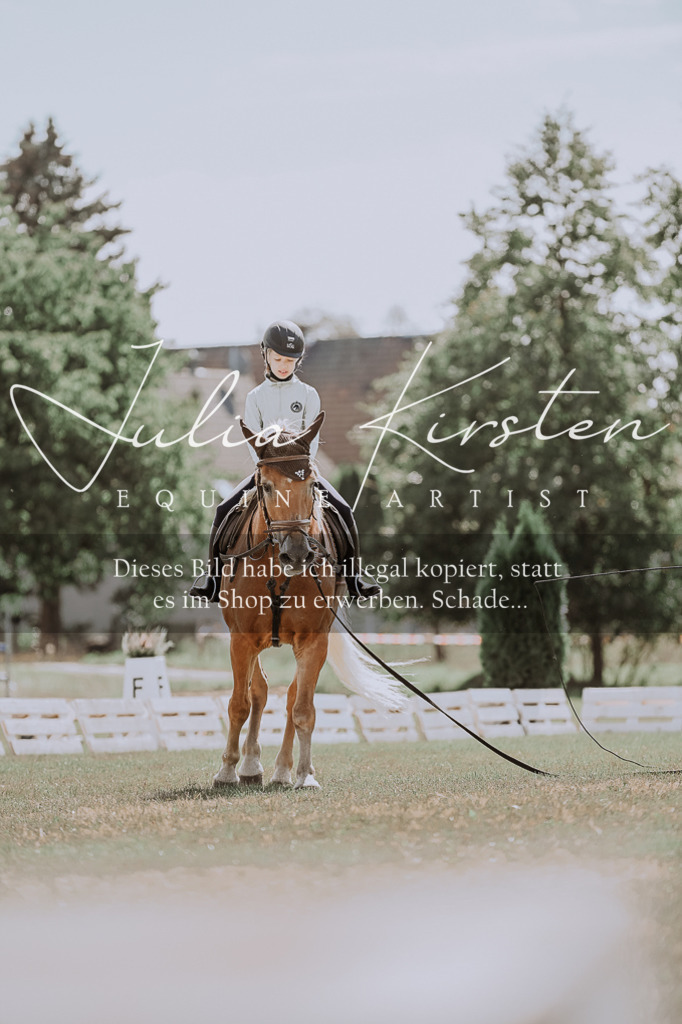 DSC_7568 | Pferde- und Turnierfotografie in Westsachsen. Pferdeportraits, Auftragszeichnungen und intuitive Kunst.