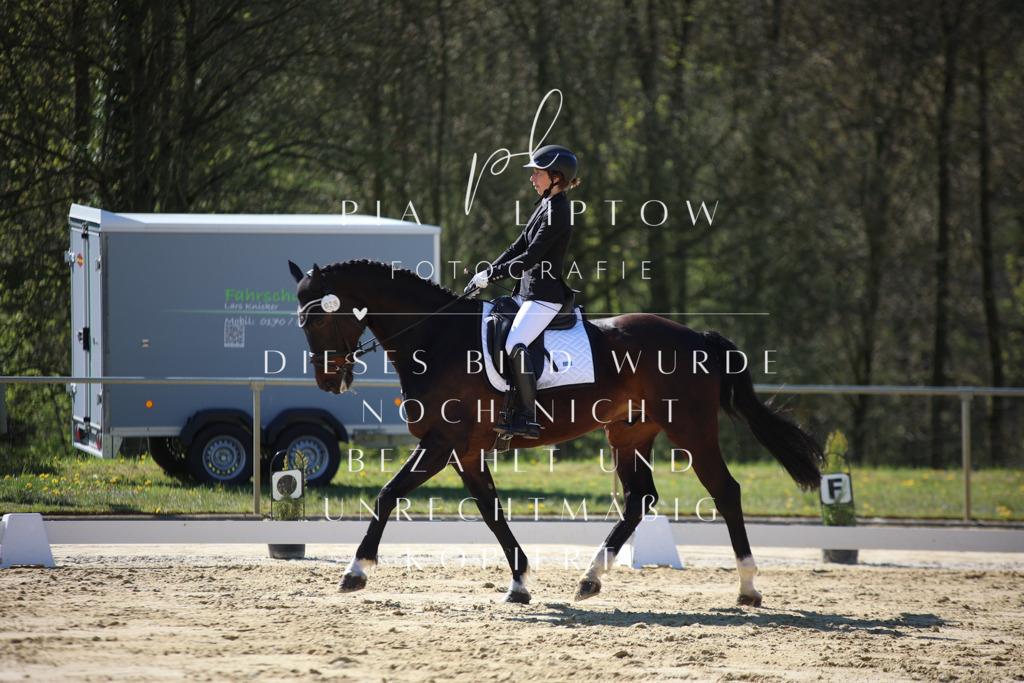 IMGT9536 | pl-fotografie