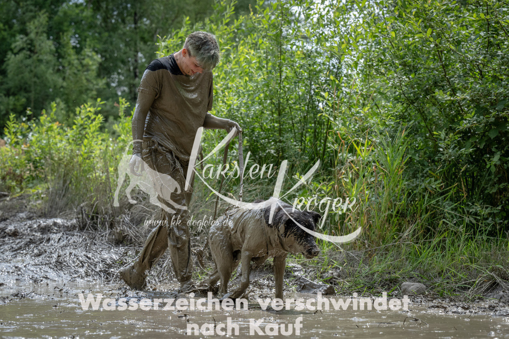 1437_ZZ93523 | kk-dogfotos