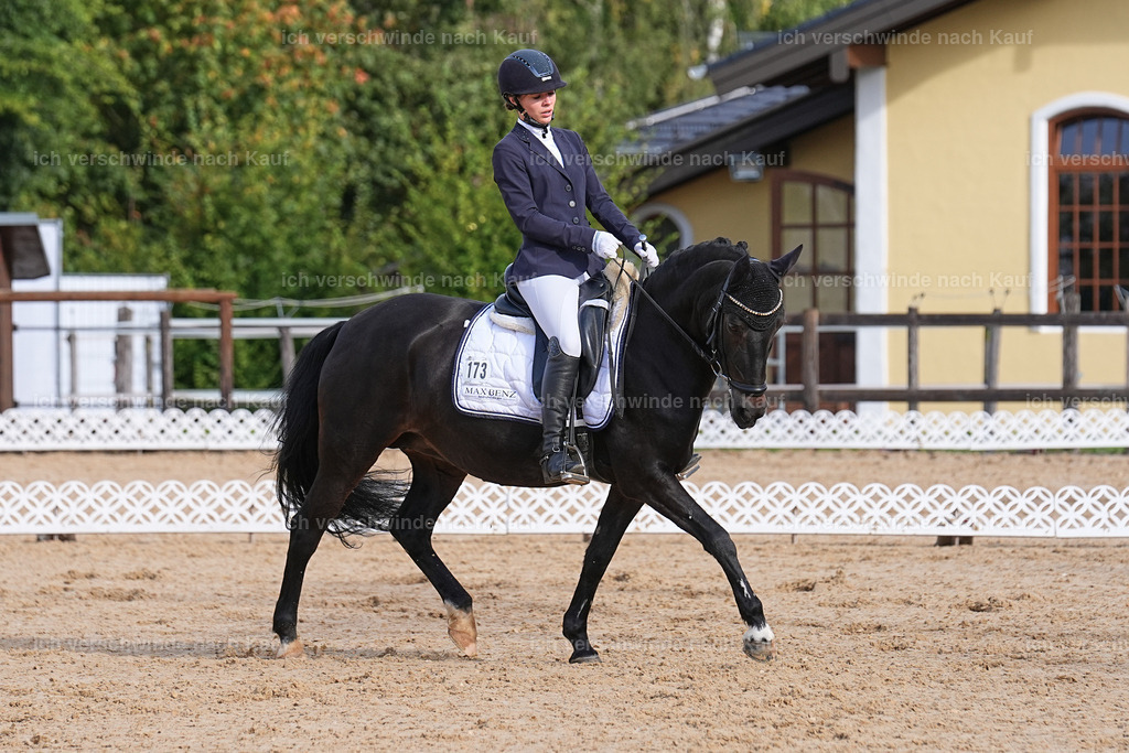 02-173-DRESSUR L_  -Marixx-4834 | working equitationturnier fotograf videograf stoibphotography marixx film working equitation deutschland reitsport turnierfotografie eventfotografie equestrian events