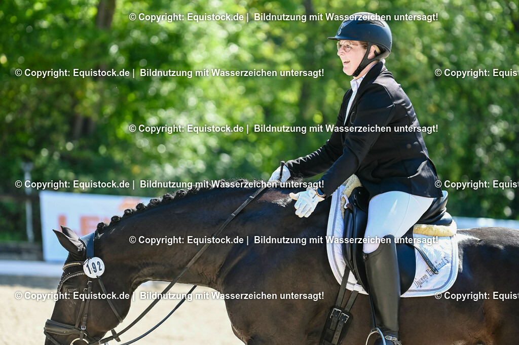 20230908_06_Dressur-L-Trense_0737 | equistock