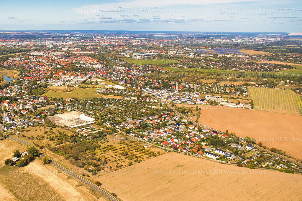 Hasenbreite_Prester_9394 | Prester Magdeburg - Realisiert mit Pictrs.com