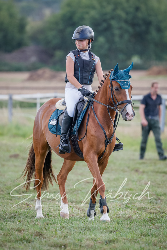 20250905-_3LI1933 | Tierfotografie Pferde, Hunde, Katzen, Haustiere.
Turnierfotografie Reitturniere, Reiten, Springreiten, Dressur in Hanau, dem Main-Kinzig-Kreis und dem Rhein-Main- Gebiet um Frankfurt