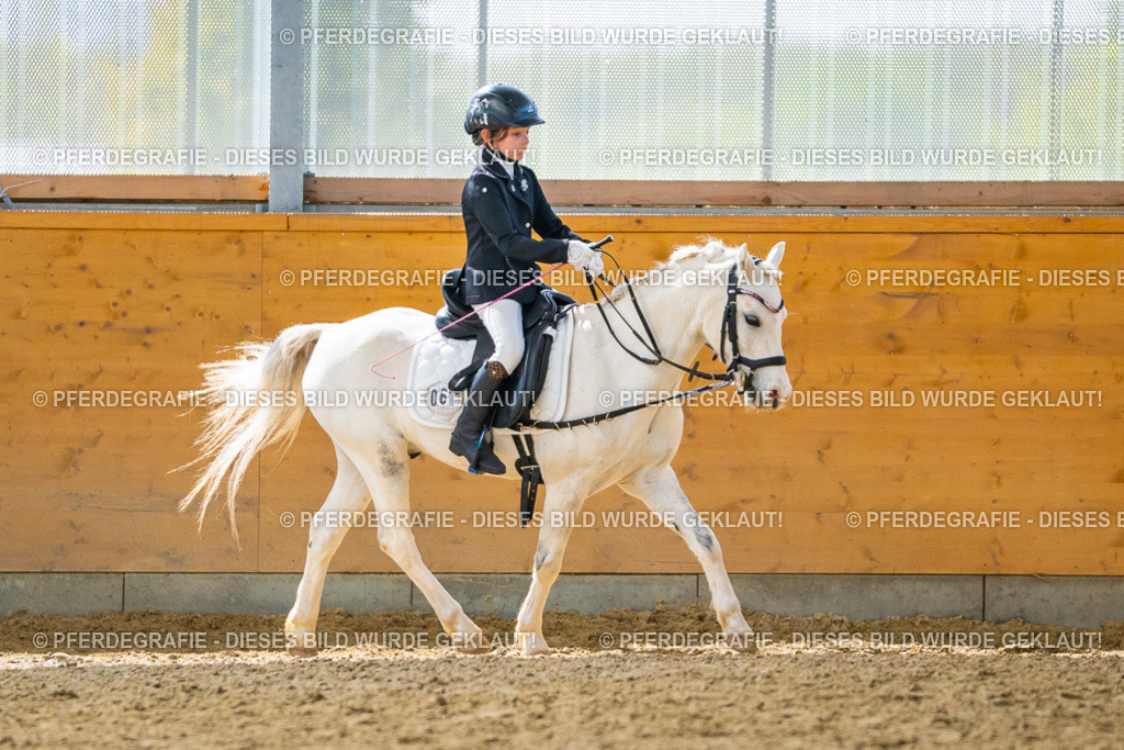 DSC01032 | Pferdegrafie