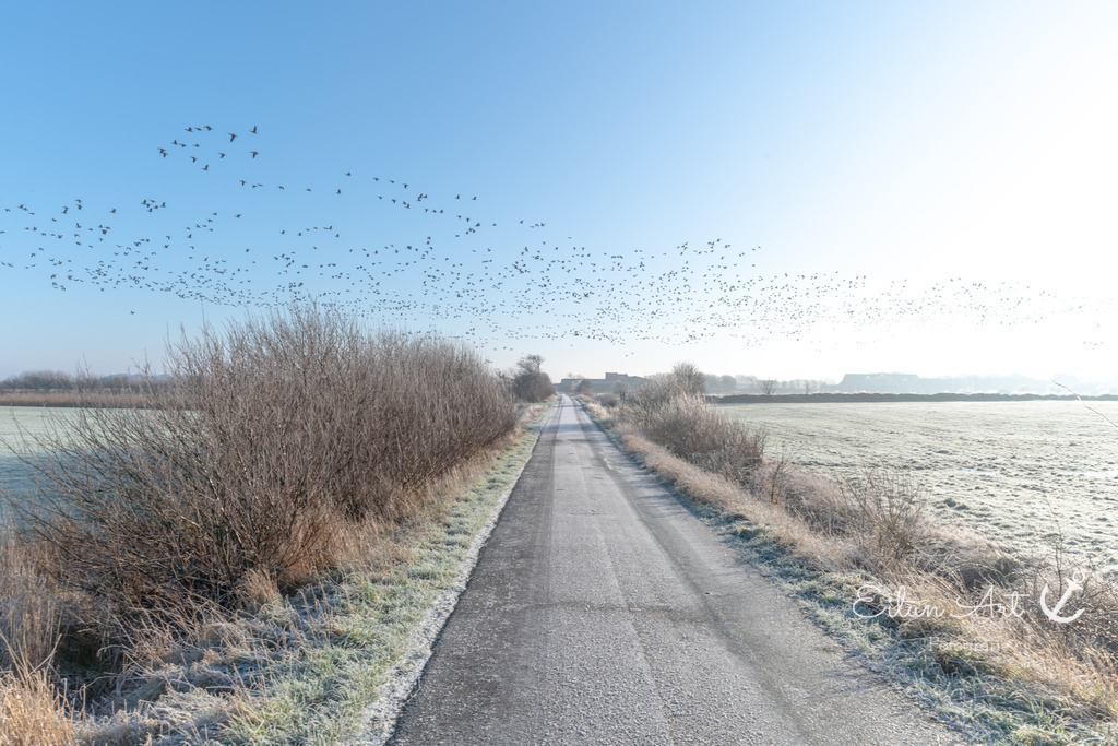 EAF_1288 | Eilun-Art-Fotografie Levke Martens, ihre Fotografin für Immobilien- und Landschaftsfotografie auf Föhr, Föhrer Motive als Poster, Leinwand, hinter Acrylglas oder stelle dir deinen eigenen Monatskalender zusammen, mit nur einem Klick