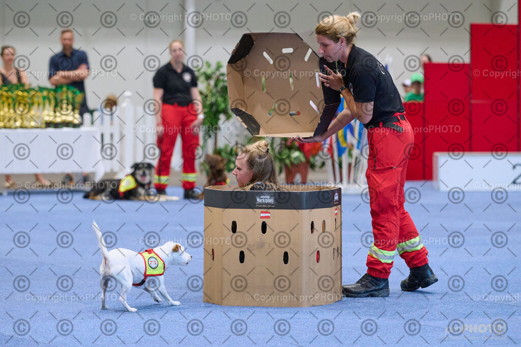 202406_ÖKV-IHA-Tulln24_DSC_3491 | proPHOTO - Realisiert mit Pictrs.com