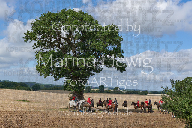 DSC01394_Marina Hewig | Fotografie, FotoArt, PferdesportArt, Pferdesportfotografie, Landschaftsfotografie, Reisefotografie, Reise, Pferde - Realisiert mit Pictrs.com