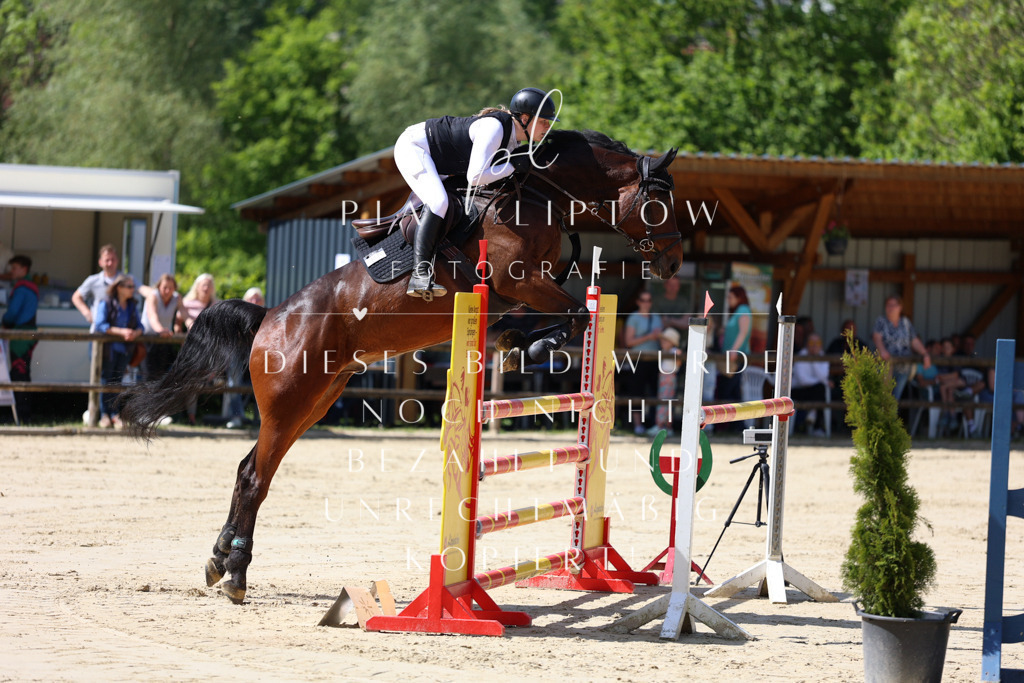 IMGS9794 | pl-fotografie