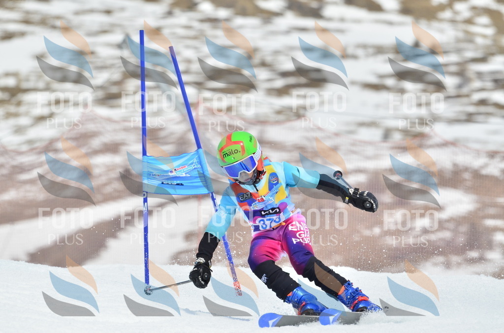 _ELE3013 | holidayphoto