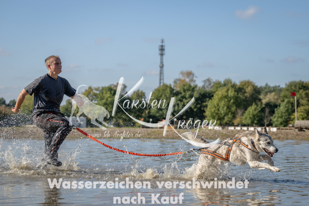1351_ZZ91500 | kk-dogfotos
