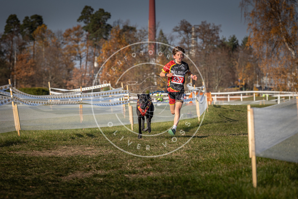 CaniXpix_0L8A8735 | Hundefotografie, Tierfotograf, Pfotenfotografie, Fotoshooting Hund, Hunde Portrait, Hundesport, Hundeportraits, Heideshooting, Hunde, Sportfotograf, Hundefotograf, Turnierhundsport, THS,  - Realisiert mit Pictrs.com