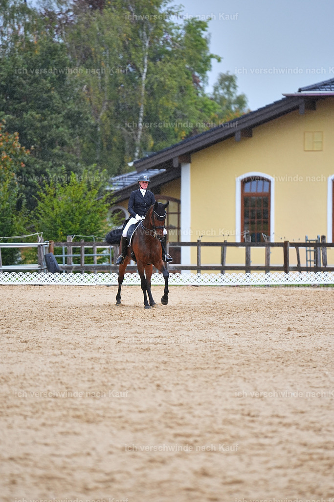 8_1-020-Klasse S_  -Marixx-4365 | working equitationturnier fotograf videograf stoibphotography marixx film working equitation deutschland reitsport turnierfotografie eventfotografie equestrian events