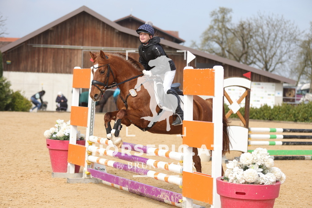 0P6A9237 | Willkommen bei Brunnmayr - Design & Fotografie – Ihrem Spezialisten für Reitturniere und Pferdeveranstaltungen in Oberösterreich, Salzburg und Bayern! Seit über 17 Jahren sind wir leidenschaftlich dabei.