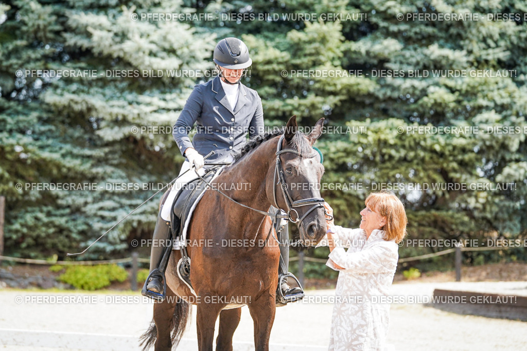 DSC02301 | Pferdegrafie