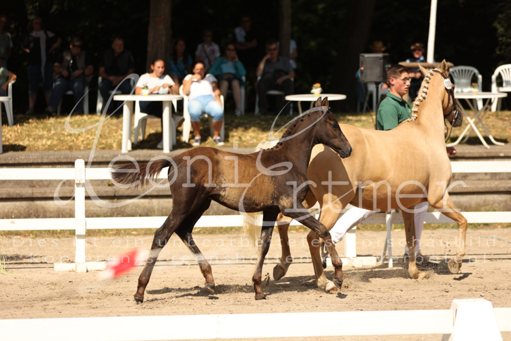 08.DoRPS00051 | Leoni Ertmer Photography - Realisiert mit Pictrs.com