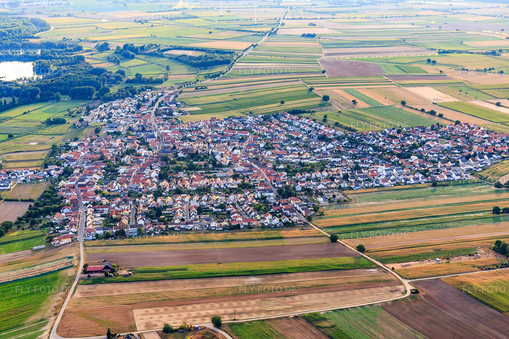 Luftbild: Ortsansicht von Osten im Ortsteil Mechtersheim in Römerberg im Bundesland Rheinland-Pfalz in Deutschland. Foto: IMG_109332.jpg vom 30.07.2018 durch Werner Riehm/FLY-FOTO.de
