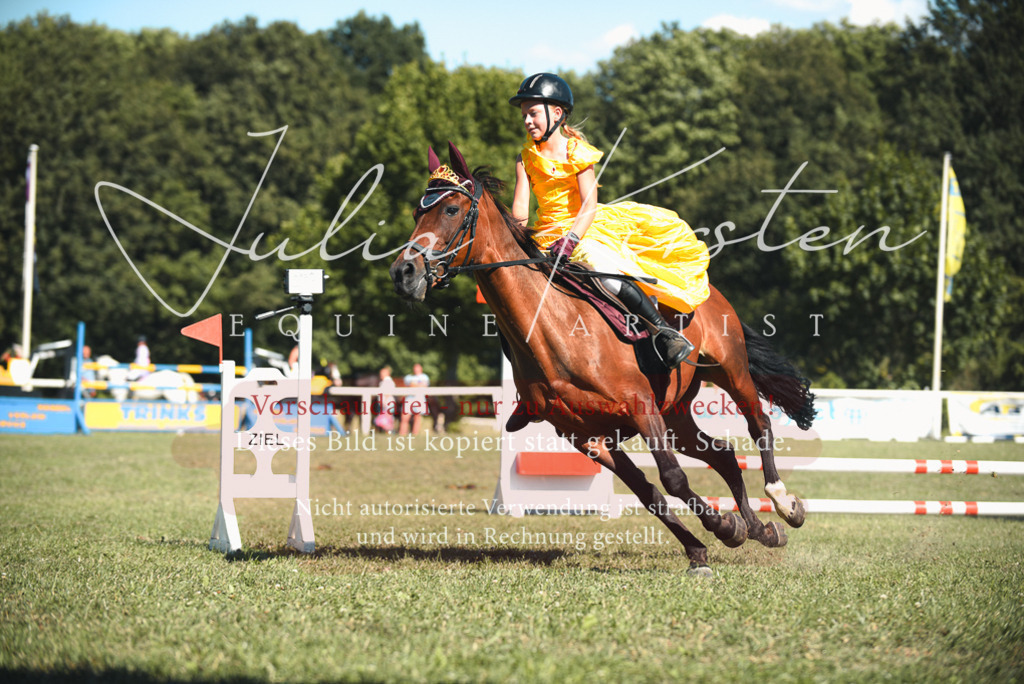 DSC_7527 | Pferde- und Turnierfotografie in Westsachsen. Pferdeportraits, Auftragszeichnungen und intuitive Kunst.