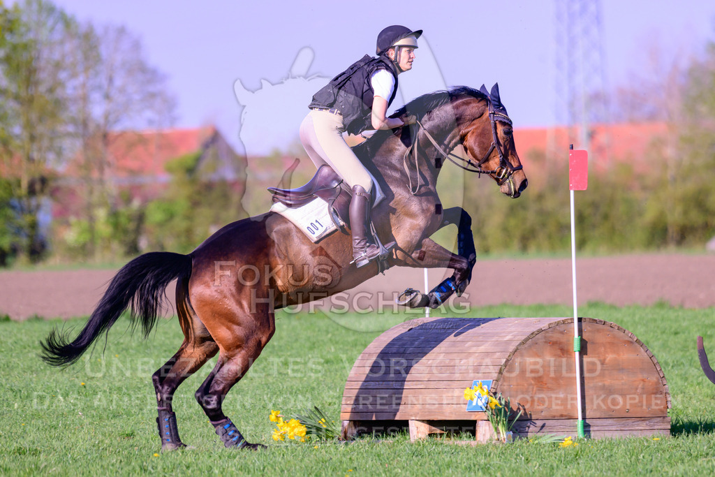 18042026-Gernlinden-04-2-0150 | Fokus Hufschlag Fotografie - Realisiert mit Pictrs.com